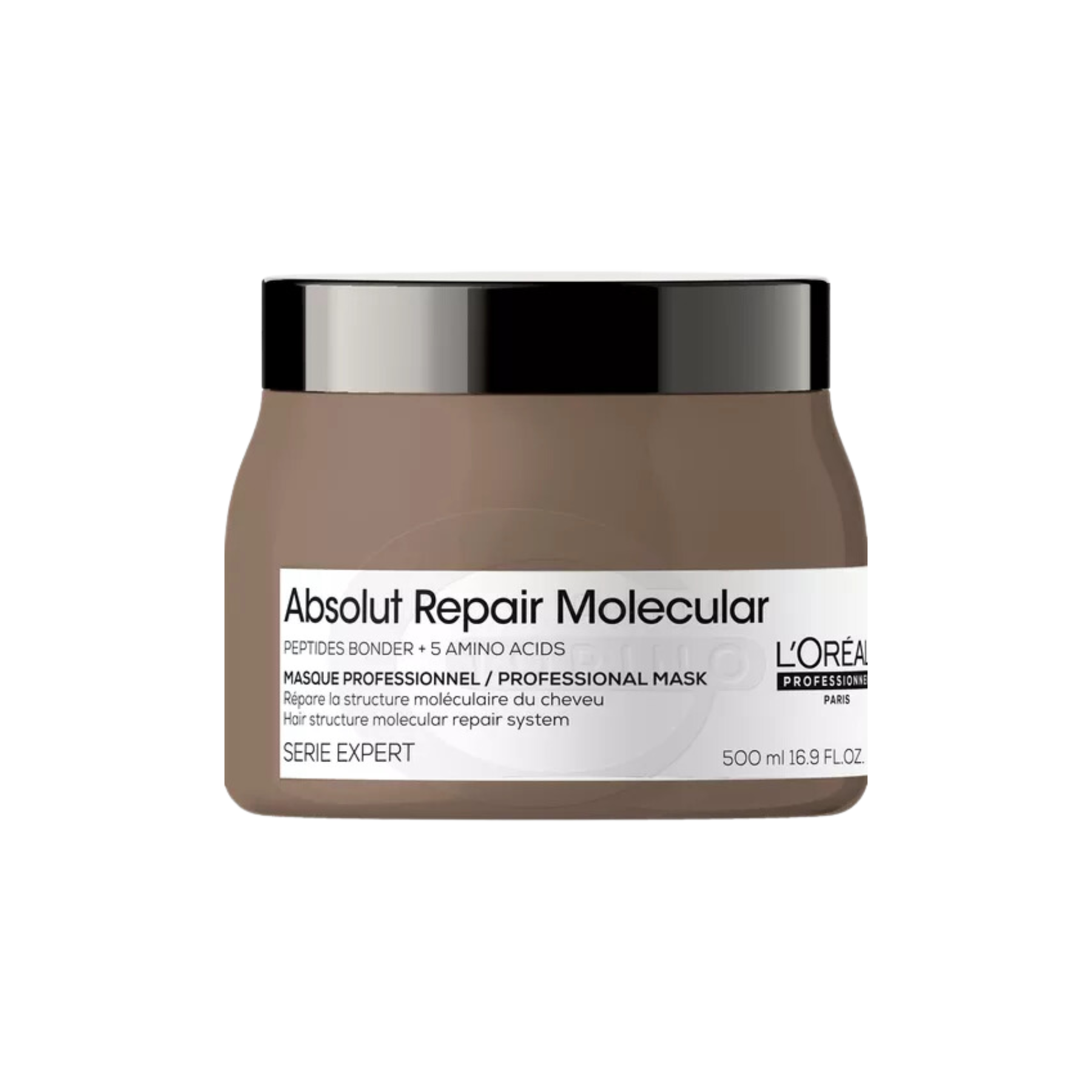 Máscara Absolut Repair Molecular 500ml L'Oréal Professionnel