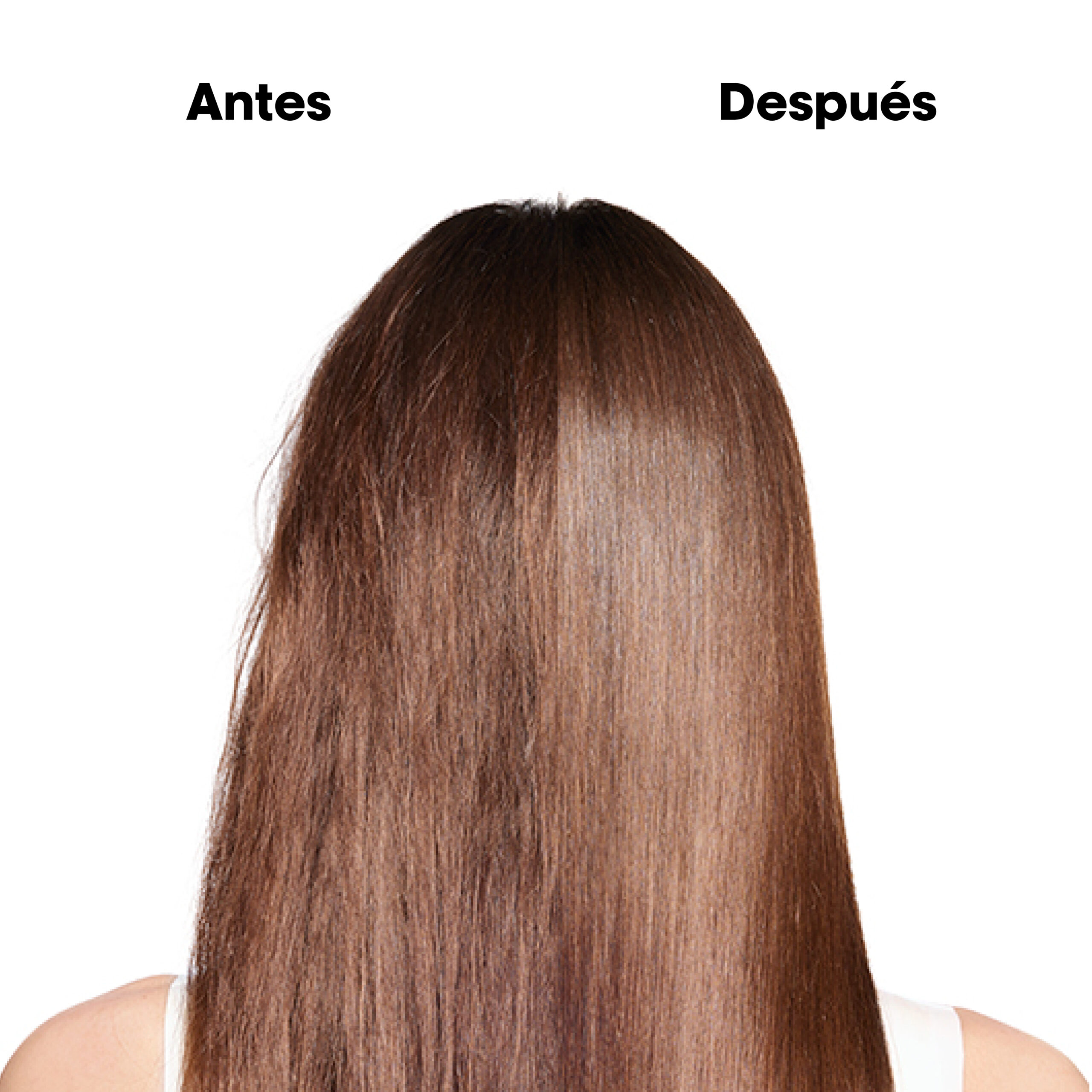 Máscara Absolut Repair Molecular 150ml L'Oréal Professionnel - Imagen 5