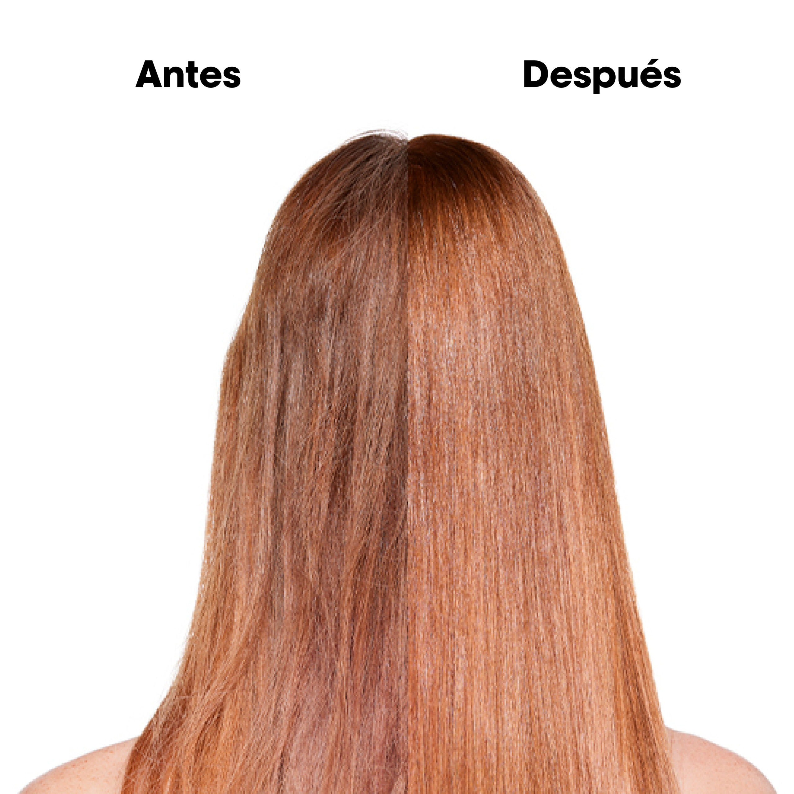 Máscara Absolut Repair Molecular 150ml L'Oréal Professionnel - Imagen 6